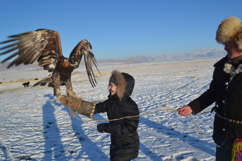 the_golden_eagle_hunting_tours_in_altai_tavan_bogd3