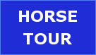 HORSE_trip_mongolia