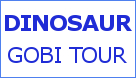 gobidesertsanddunedinosaurtour