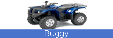 rent_car_service_buggy_for_tourist_mongolia_in_mongolia