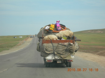 travel_mongolia_moving_nomadic_family