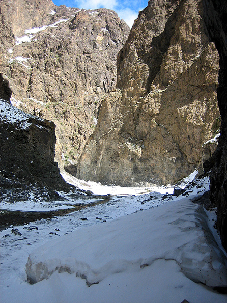 YOL-MOUTHY-oliinam-gobi-desert