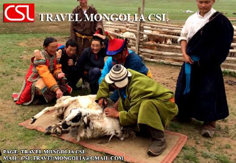 ONE_DAY_TRIP_MONGOLIA