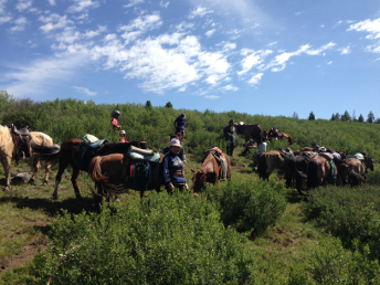 horse_trekking_mongolia