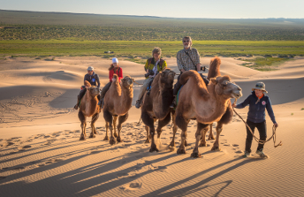 GOBI_DESERT_CAMEL