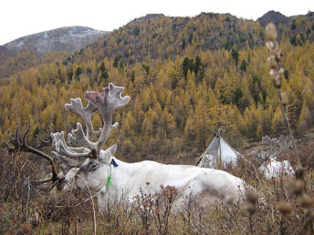 horseback_khuvsgul