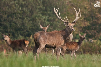 KHUSTAI_NATIONAL_PARK