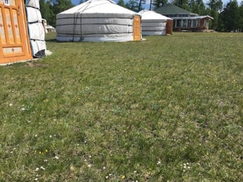 KHUVSGUL-MON-TRAVEL-dalai-TOURIST-CAMP