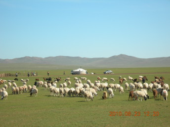 MONGOLIAN_NOMADIC_LIFE