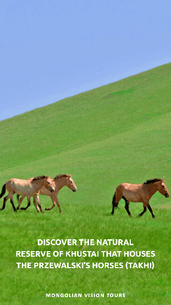 expresstravelmongolia