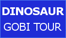 gobidesertsanddunedinosaurtour