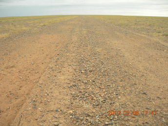 horse_gobi_desert7