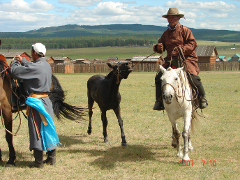 horse_mini_naadam1