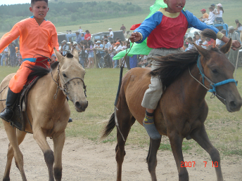 horse_mini_naadam3