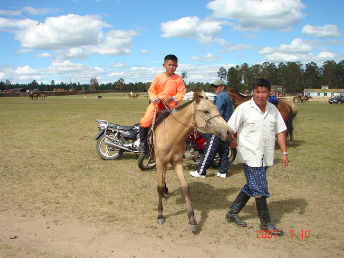 horse_mini_naadam4