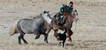 HORSEBACK_RIDING_TOUR_MONGOLIA