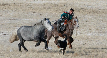 HORSEBACKRIDINGTOURMONGOLIA