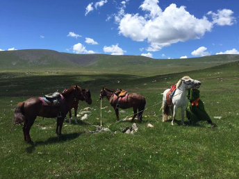 HORSEBACKRIDINGTOURMONGOLIA