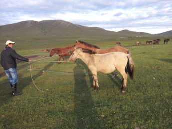 HORSEBACK_RIDING_TRIP