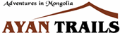 travel agency