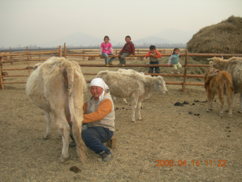 mongolian_woman1