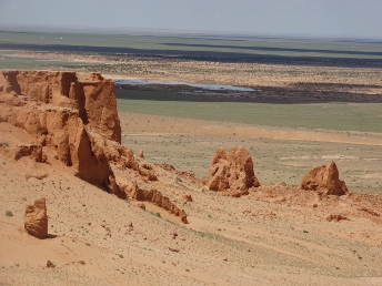 camel_GOBIDESERTMONGOLIA