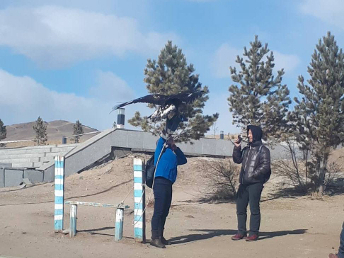 ONE_DAY_TOUR_MONGOLIA