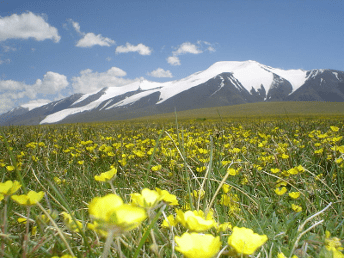 tsast-peaks-Tsambagarav-Mountain-Mongolia