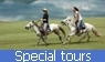 travelhorsetour